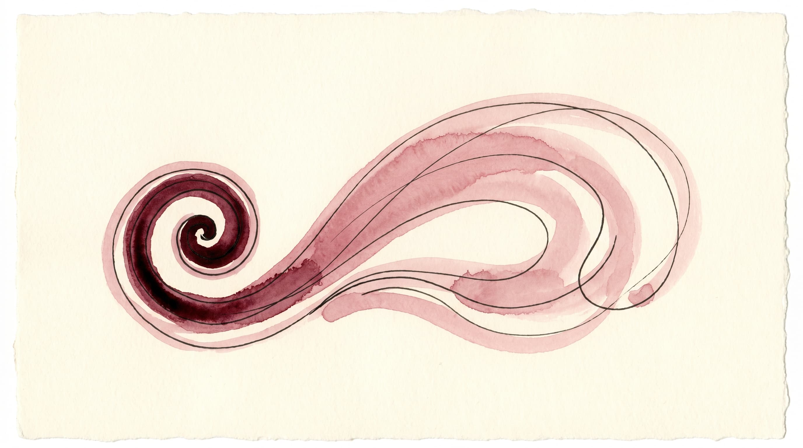 A watercolor and ink illustration on cream paper of a single tight spiral of deep-merlot ink at the left loosening, turn by turn, into a wide calm dusty-rose open curve across the page — the abstract metaphor for an anxious mind easing without being forced to be calm.
