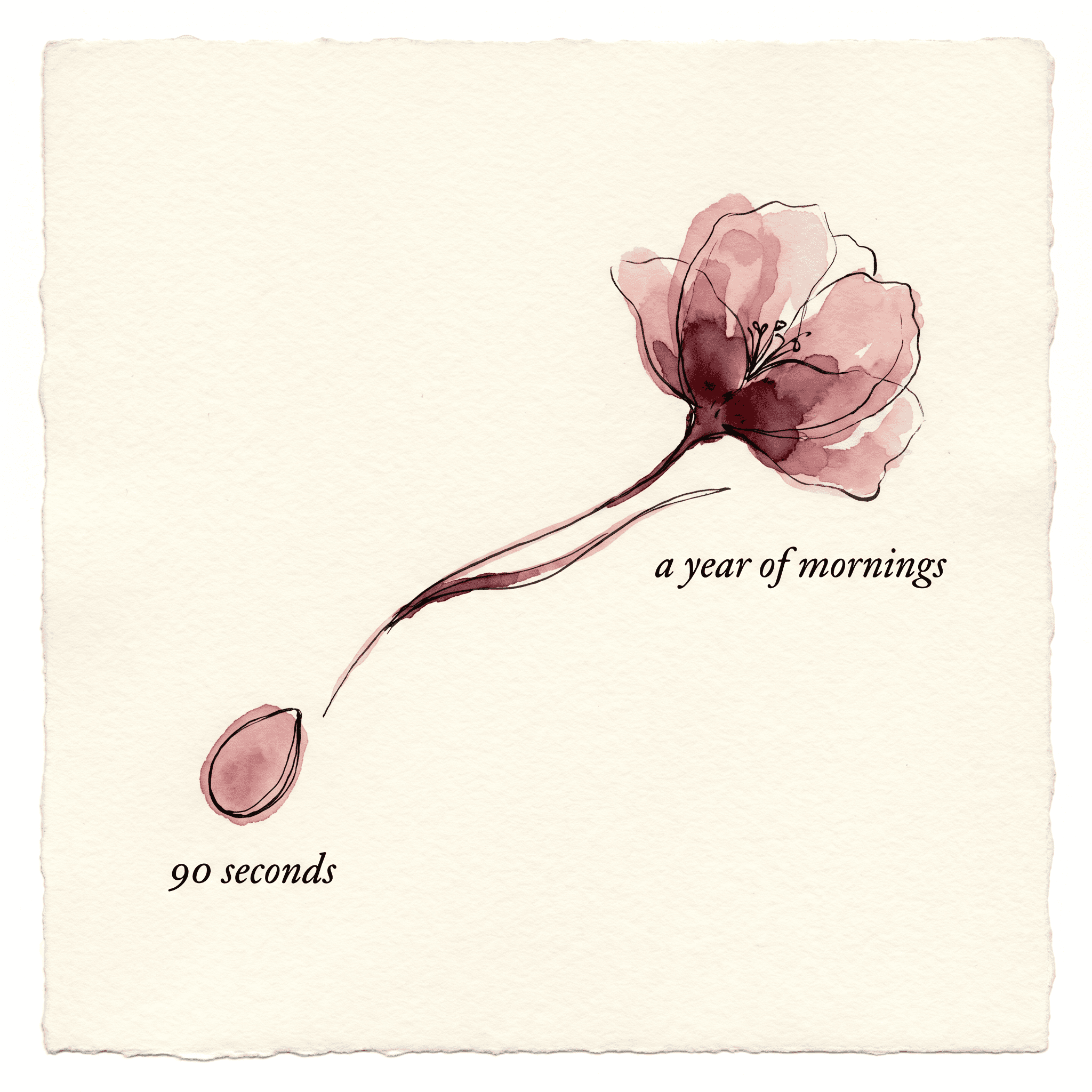 Hand-drawn editorial infographic on cream paper, a small watercolor seed shape on the left labeled '90 seconds' with a thin merlot ink line growing to a larger flowering shape on the right labeled 'a year of mornings', with a small caption referencing the Hershfield 2011 future-self continuity finding.