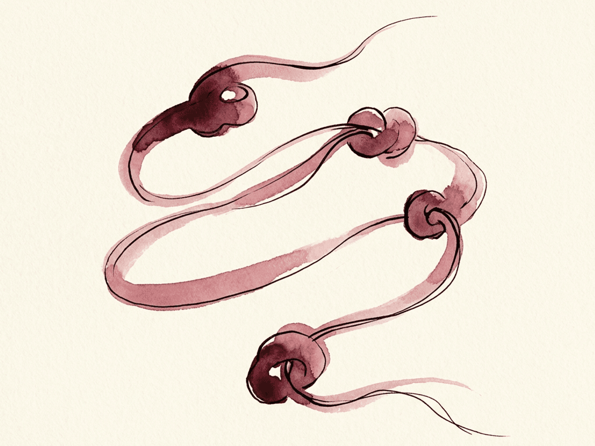 A watercolor spiral of ink unwinding into a single straight line — the visual metaphor for expressive writing moving from tangled thought toward resolution.