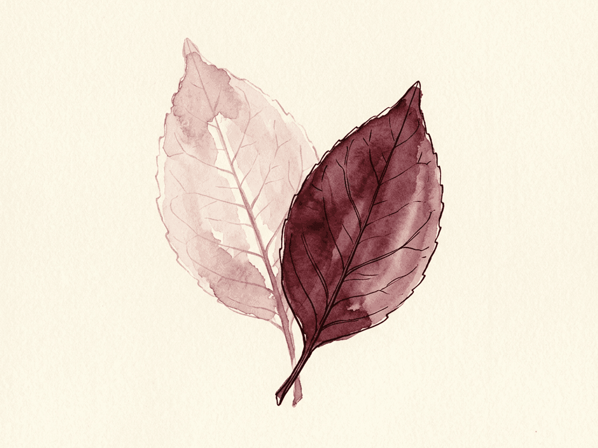 Two watercolor scale pans in dusty rose and merlot, one holding a single open flower, the other holding a small stack of identical closed buds — weighing personal relevance against a generic library.