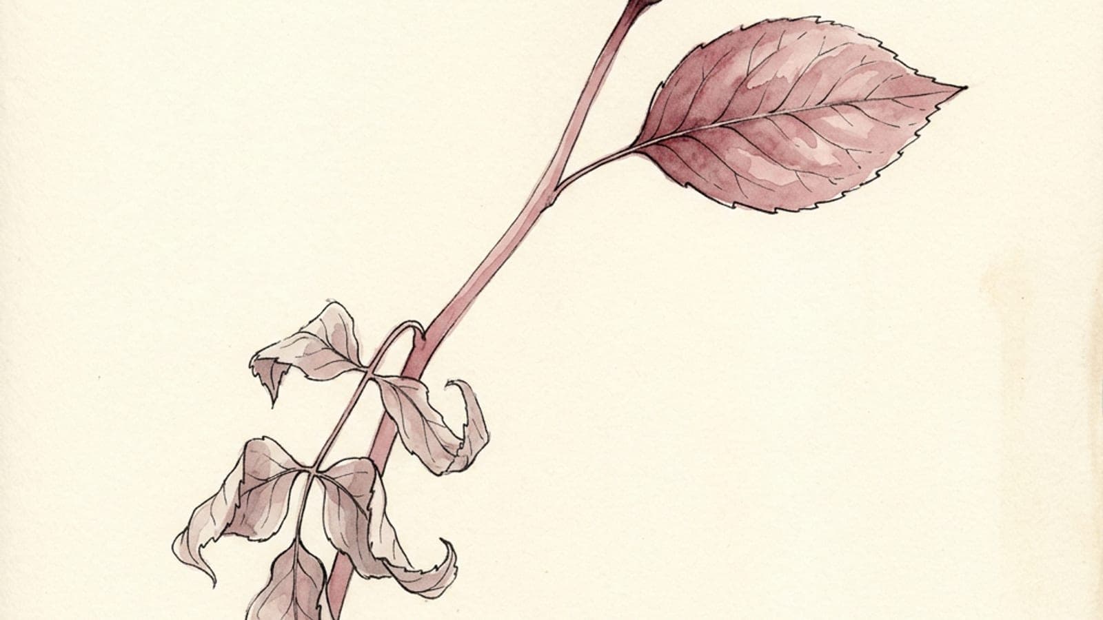 A horizontal watercolor study of a small seedling under glass, roots visible in soil, one leaf just breaking the surface — a quiet metaphor for growth that is real but not yet declarative.